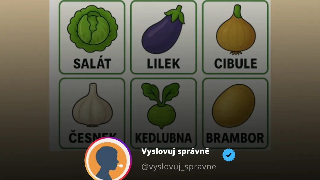 Obrázkové karty — Zelenina