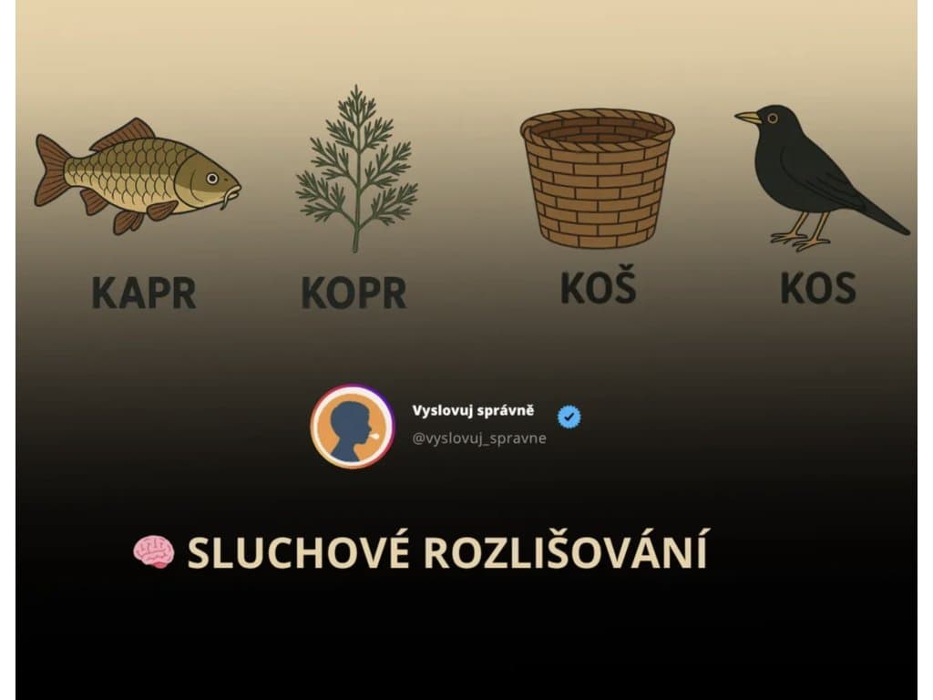 Sluchové rozlišování — fonematické uvědomění