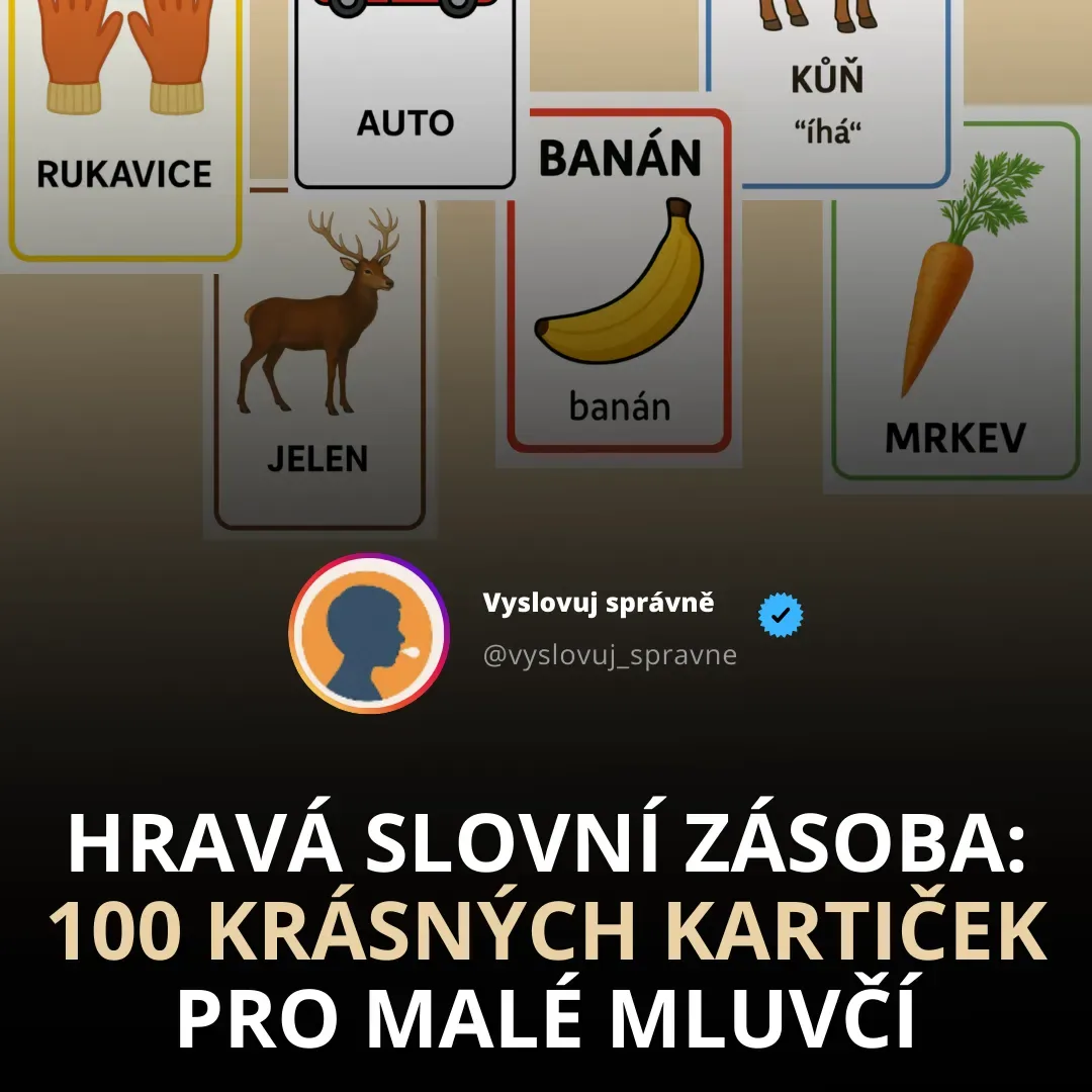 Hravá slovní zásoba: 120 krásných kartiček pro malé mluvčí