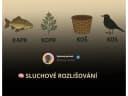 Sluchové rozlišování